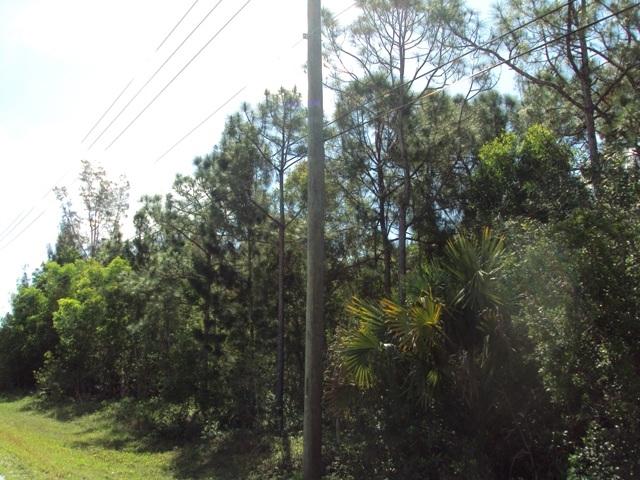 18836 93rd Road North Loxahatchee, FL 33470 - Photo 2 of 4 27zLot24 015
