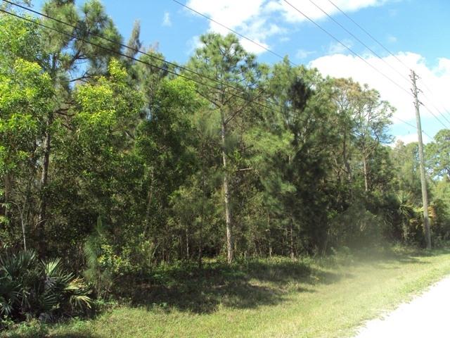 18836 93rd Road North Loxahatchee, FL 33470 - Photo 4 of 4 27zLot24 012
