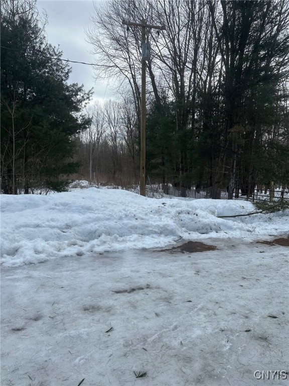 9468 Oswego Road Lysander, NY 13135 - Photo 2 of 5 End of drive