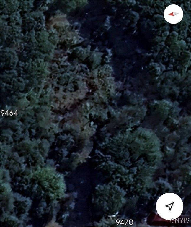 9468 Oswego Road Lysander, NY 13135 - Photo 5 of 5 Summer close up