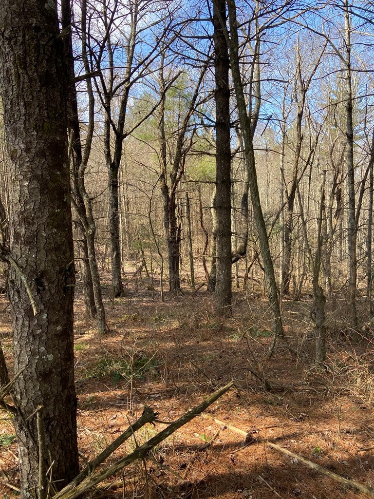 Tbd Crackers Neck Road Galax, VA 24333 - Photo 10 of 10 Gallery Image 10