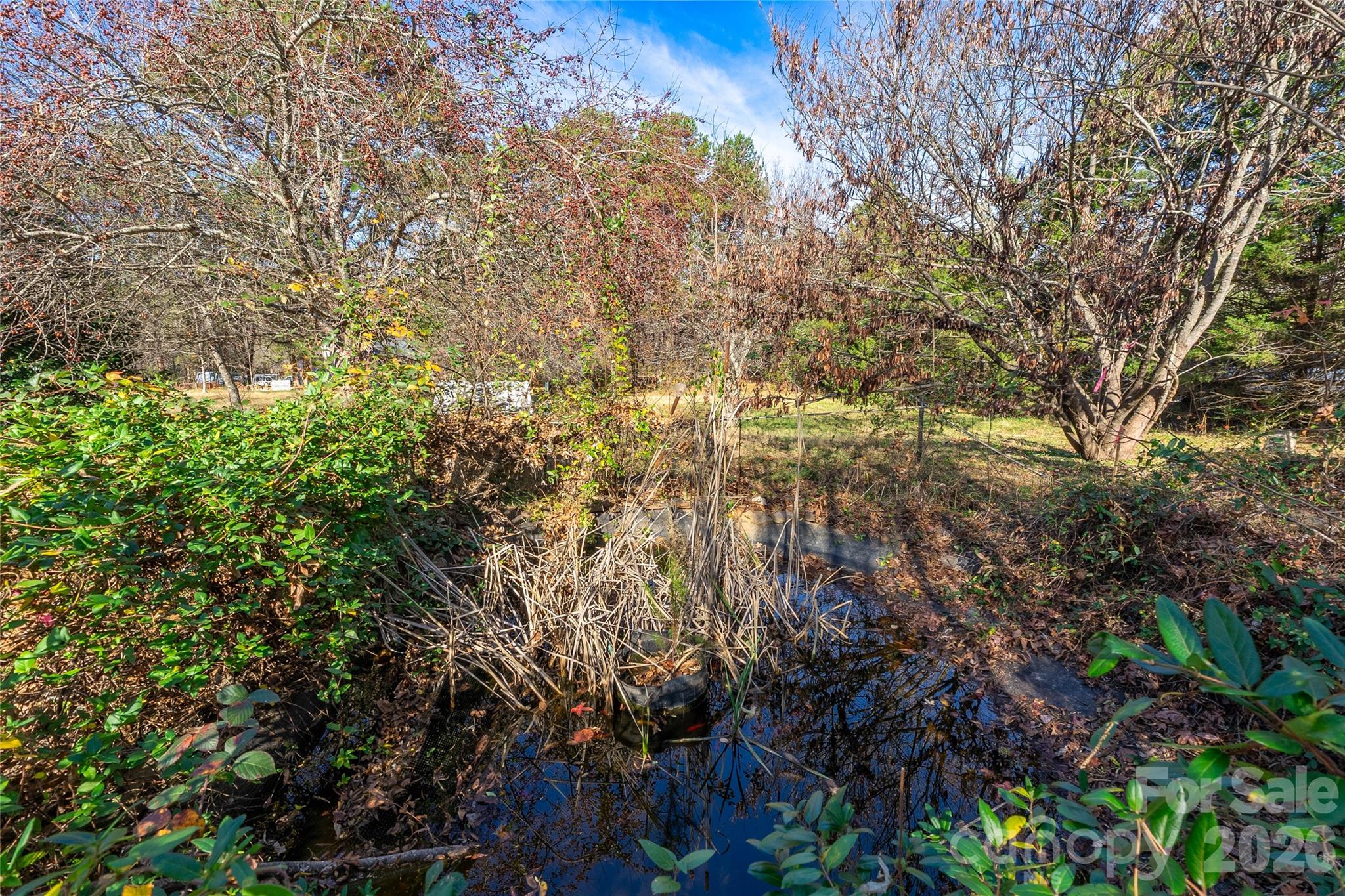 228 Brumley Road Mooresville, NC 28115 - Photo 35 of 41