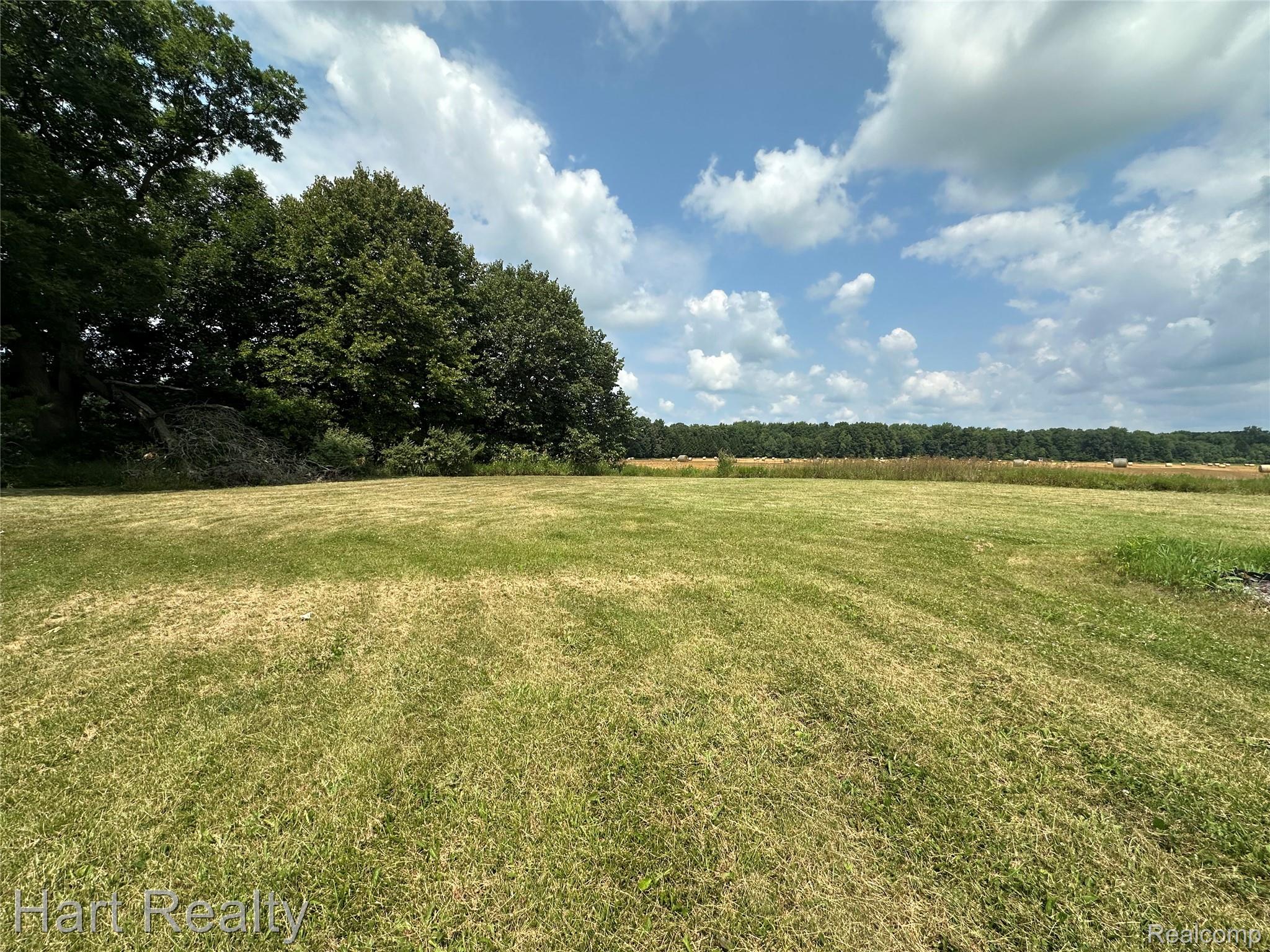 15686 Jeddo Road Brown City, MI 48416 - Photo 11 of 25 Expansive open field with green ground cover and distant tree lines