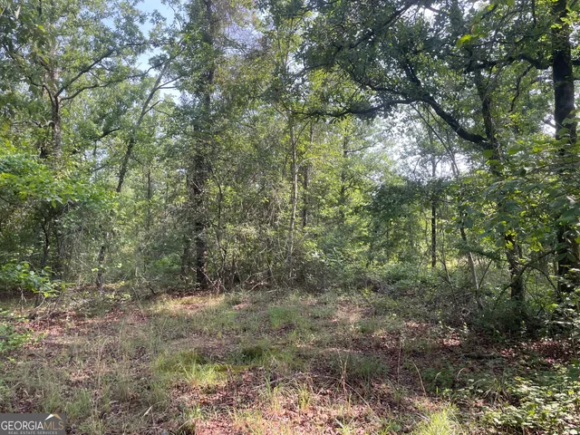 $51,000 | 221 Flamingo Drive, Mauk, GA 31058