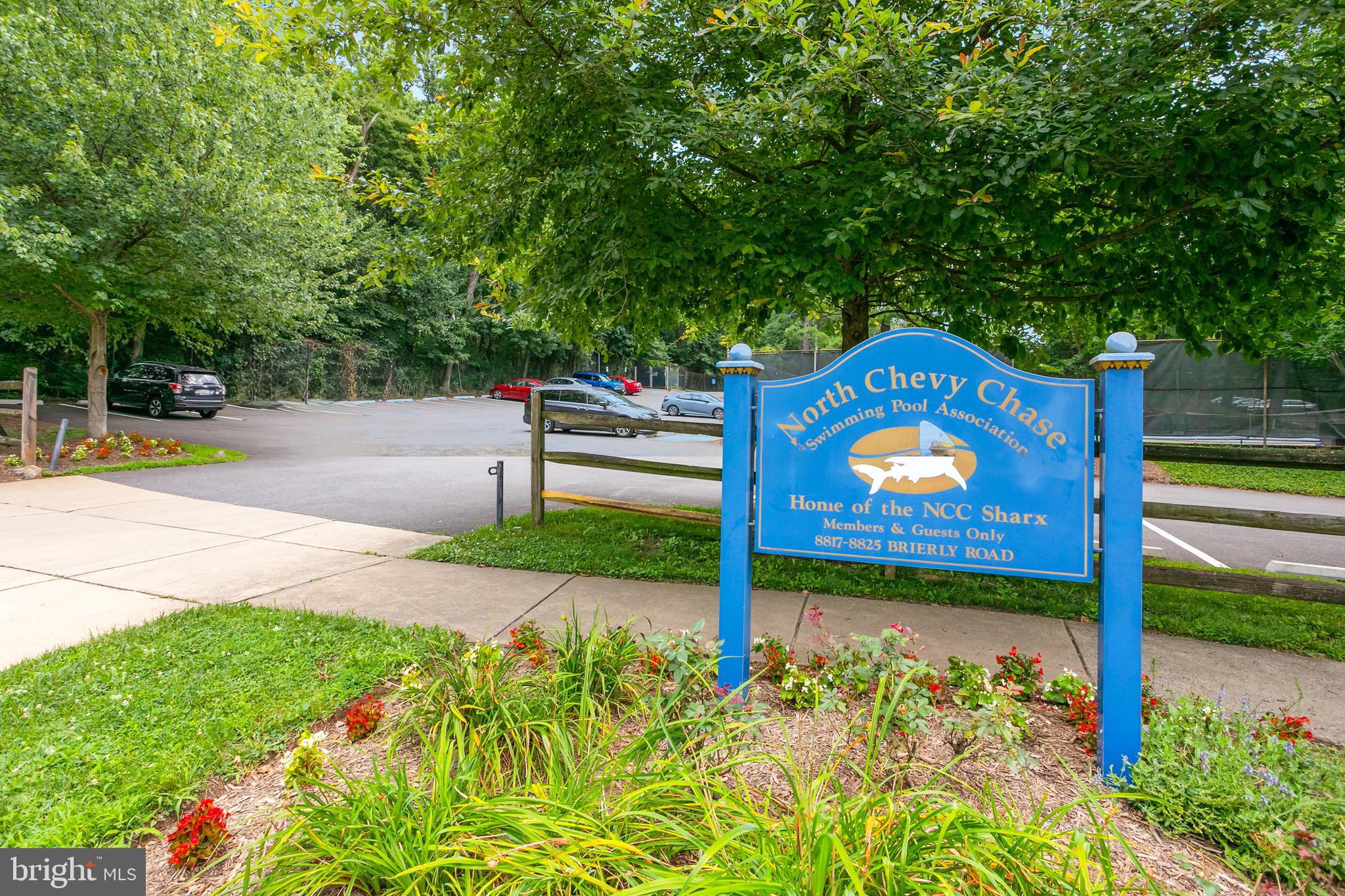 5 Spring Hill Court Chevy Chase, MD 20815 - Photo 48 of 50 a view of a park with potted plants and large trees
