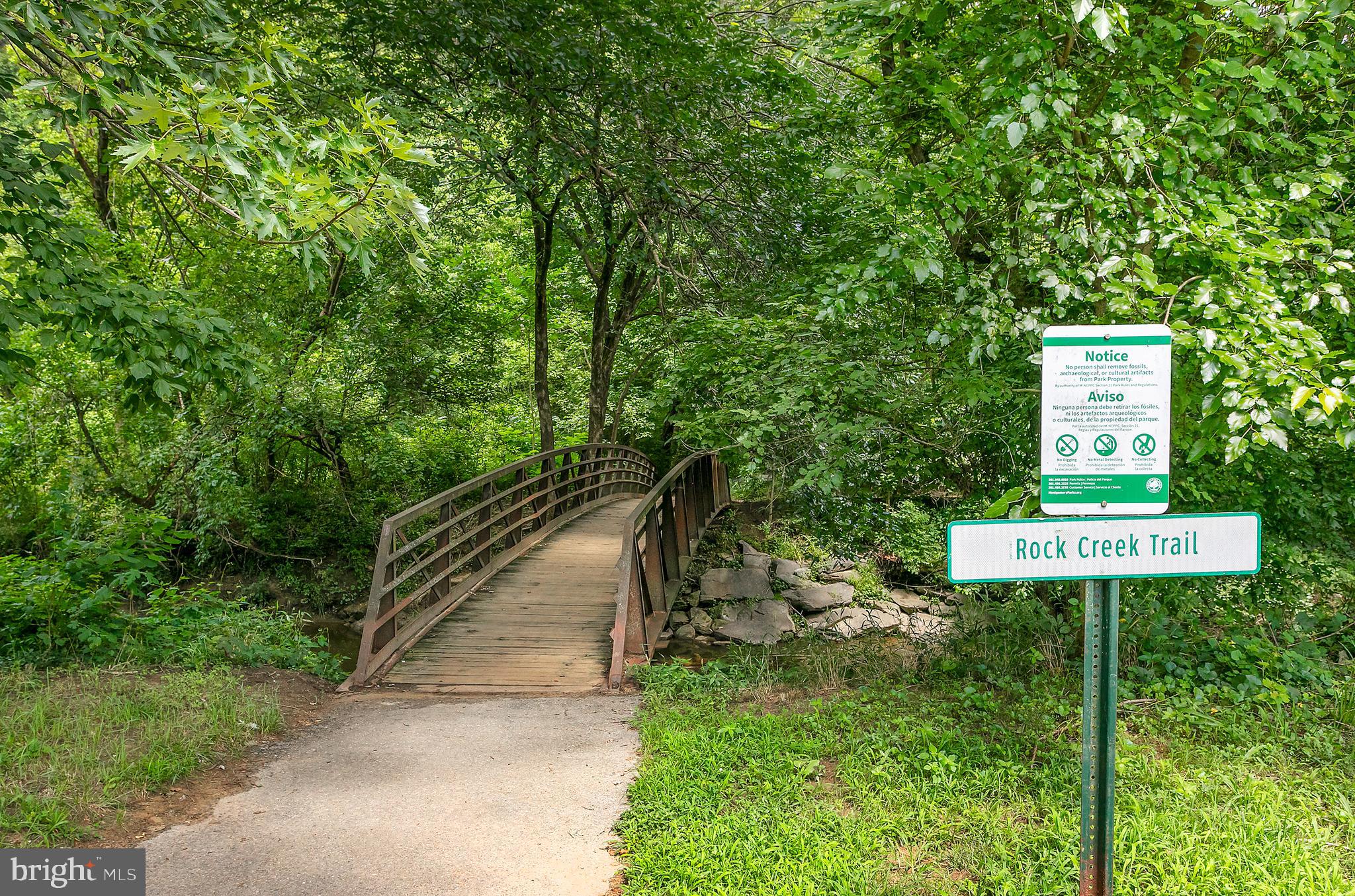 5 Spring Hill Court Chevy Chase, MD 20815 - Photo 49 of 50 a view of a bench in a garden