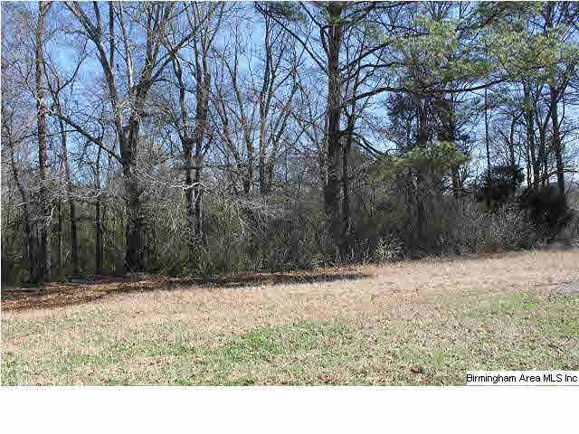 187 Forgotten Road Piedmont, AL 36272 - Photo 26 of 28