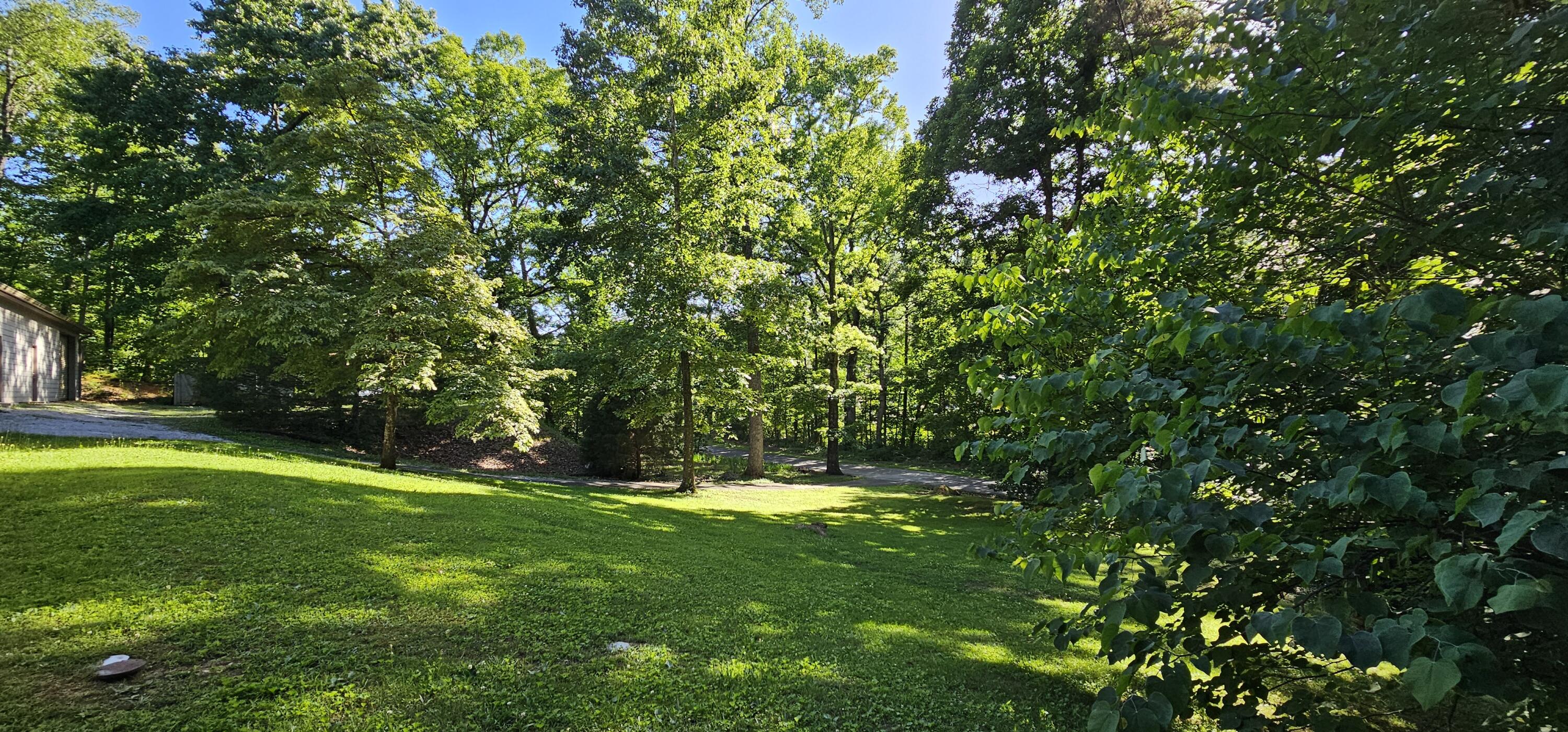 913 Sim Goodwin Road McDonald, TN 37353 - Photo 12 of 75 Front Yard