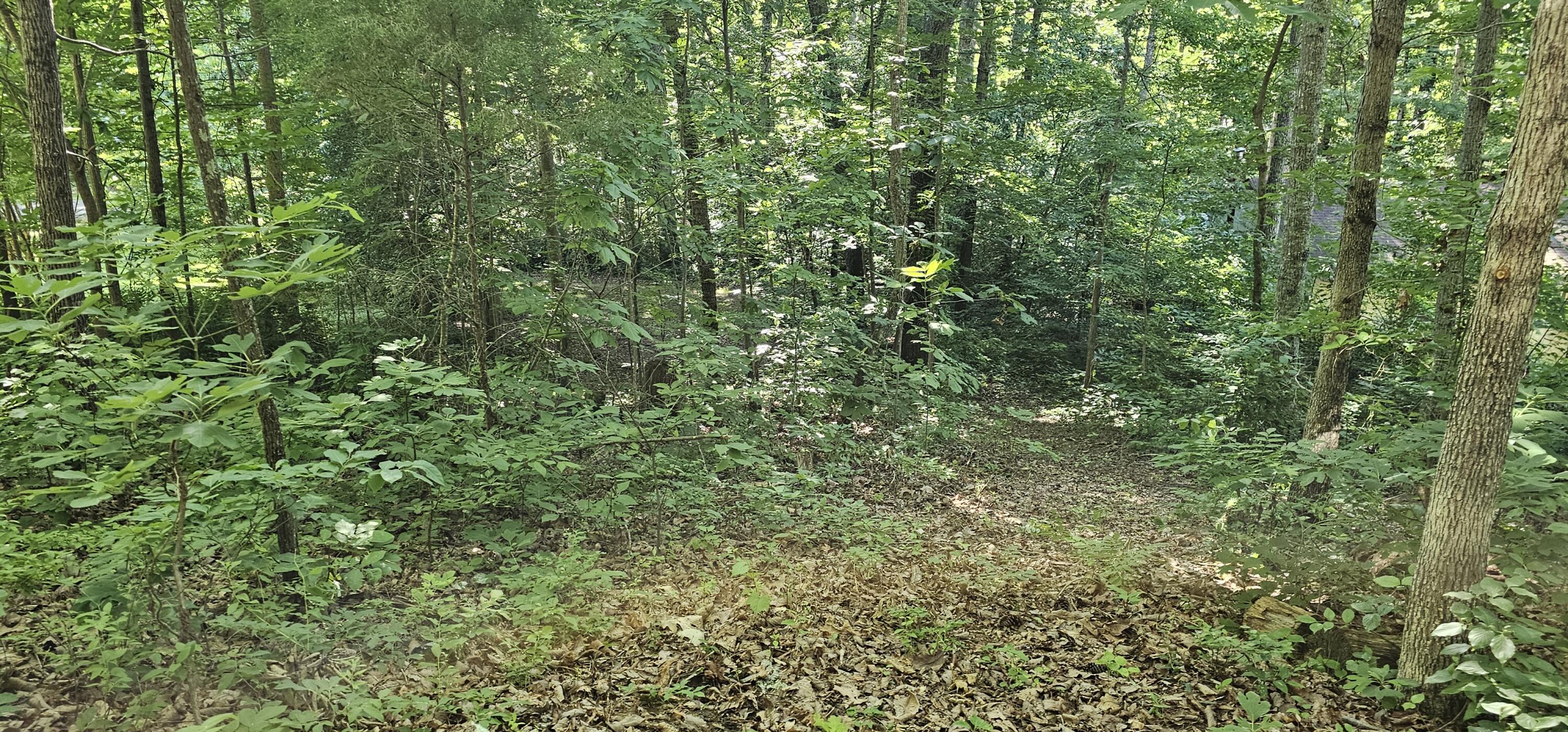 913 Sim Goodwin Road McDonald, TN 37353 - Photo 37 of 75 20240607_175858