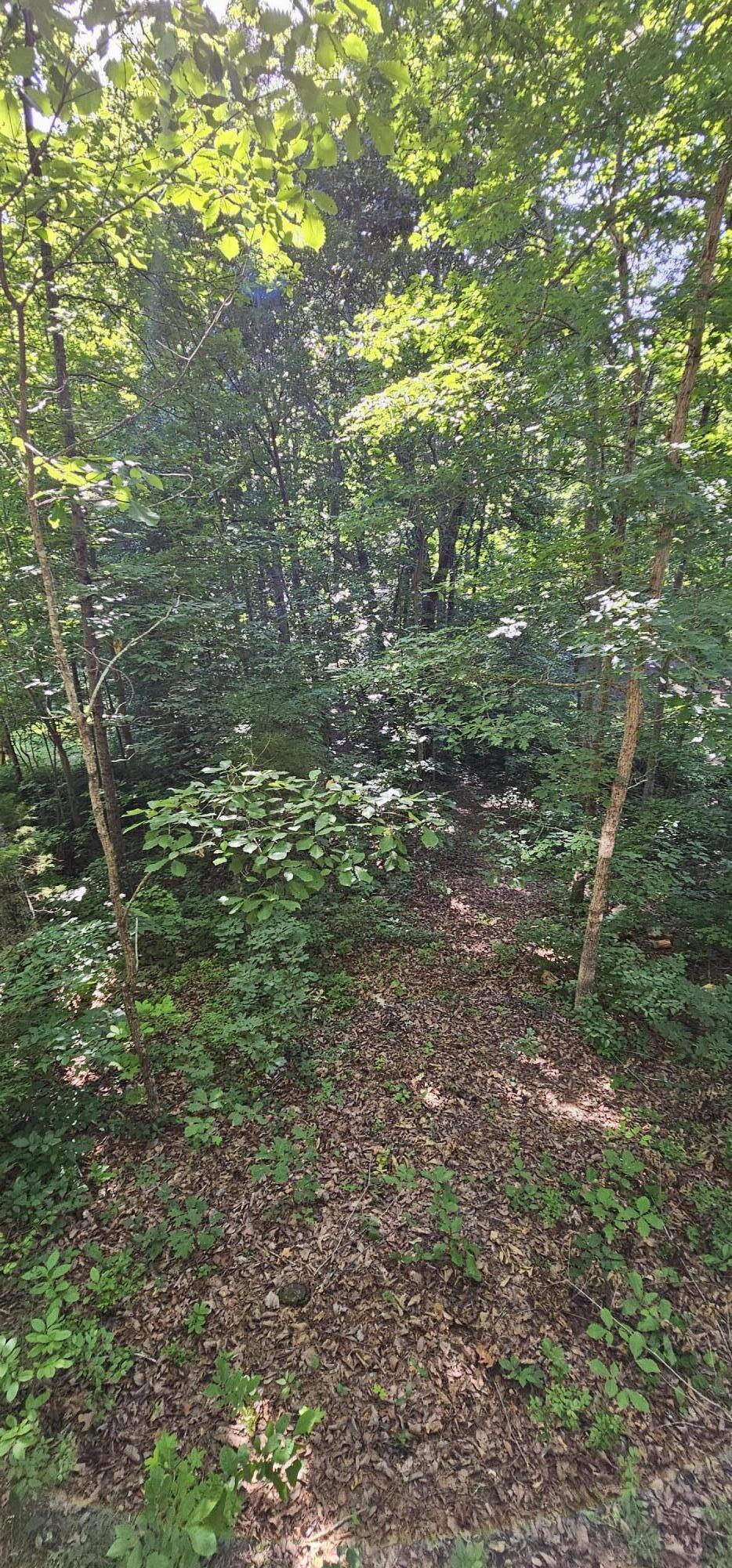 913 Sim Goodwin Road McDonald, TN 37353 - Photo 38 of 75 20240607_180040