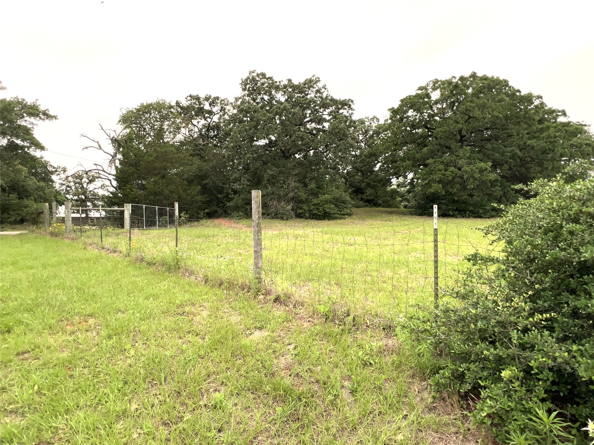160 Rosanky Cattle Company Road, Unit R Smithville, TX 78957 - Photo 9 of 19 a view of an empty room with garden
