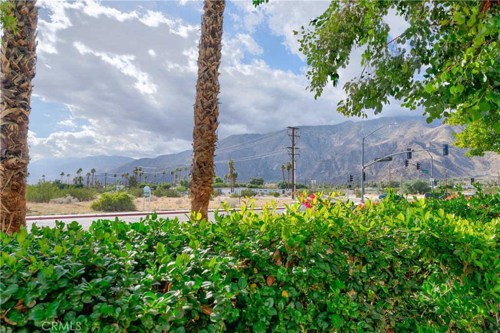 200 East Racquet Club Road, Unit 24 Palm Springs, CA 92262 - Photo 14 of 21 a view of a garden with a tree