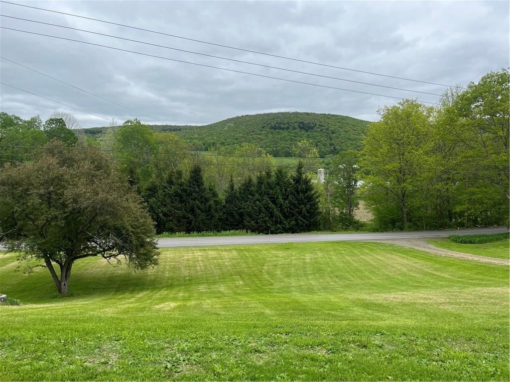 1217 County Highway Schenevus, NY 12155 - Photo 37 of 48