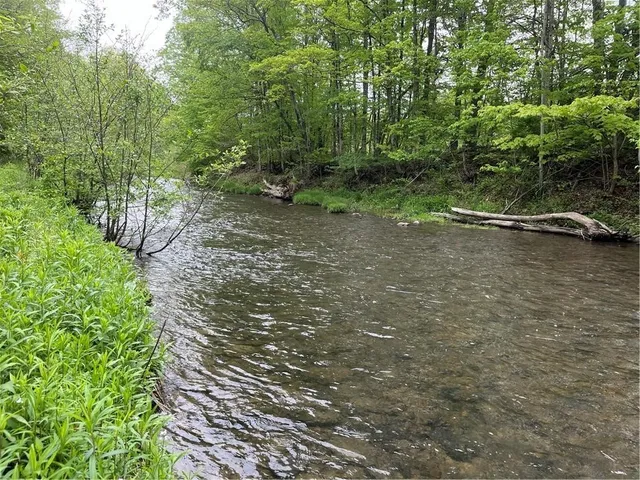 $475,000 | 1217 County Highway, Schenevus, NY 12155