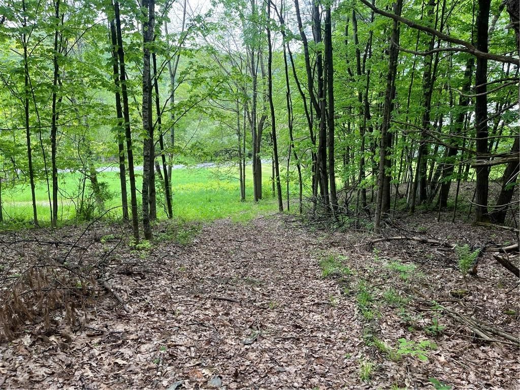 1217 County Highway Schenevus, NY 12155 - Photo 41 of 48