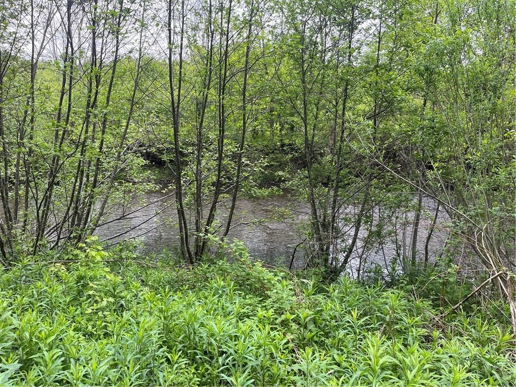 1217 County Highway Schenevus, NY 12155 - Photo 42 of 48