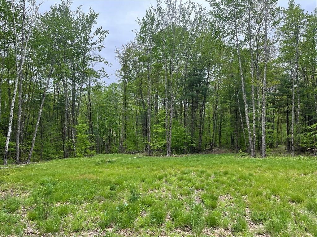 1217 County Highway Schenevus, NY 12155 - Photo 43 of 48