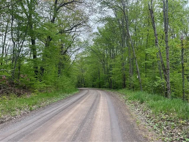 $475,000 | 1217 County Highway, Schenevus, NY 12155