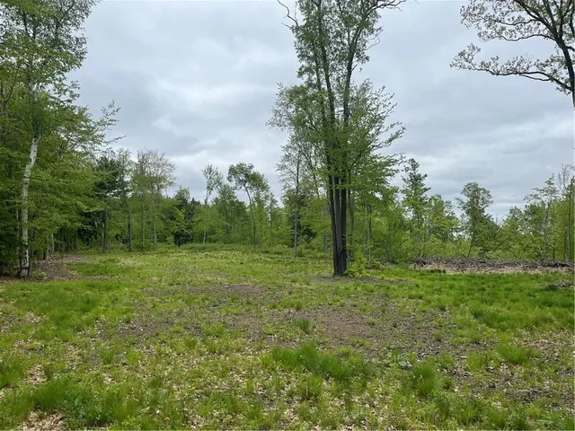 $475,000 | 1217 County Highway, Schenevus, NY 12155