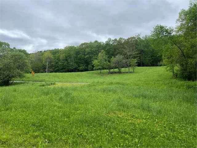 $475,000 | 1217 County Highway, Schenevus, NY 12155