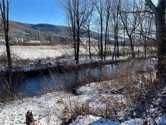 $475,000 | 1217 County Highway, Schenevus, NY 12155