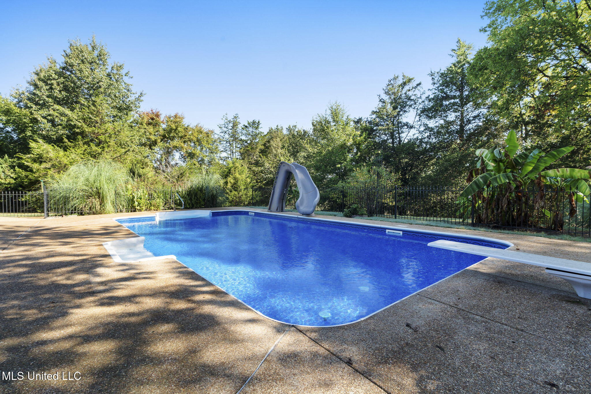 5916 Smith Road Coldwater, MS 38618 - Photo 31 of 47 Pool