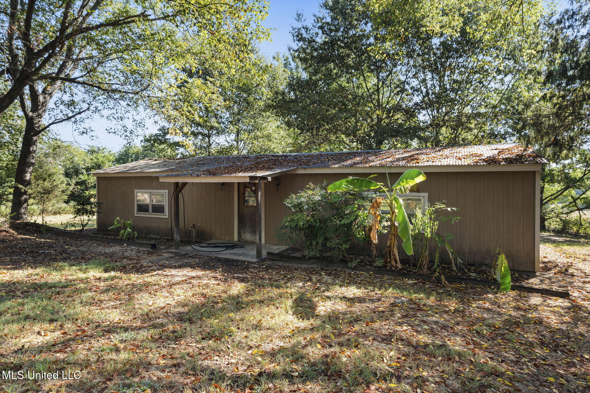 5916 Smith Road Coldwater, MS 38618 - Photo 37 of 47 Dog Kennell