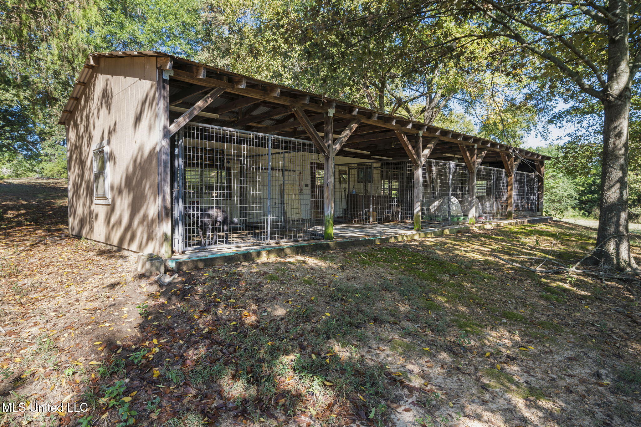 5916 Smith Road Coldwater, MS 38618 - Photo 38 of 47 Dog Kennell