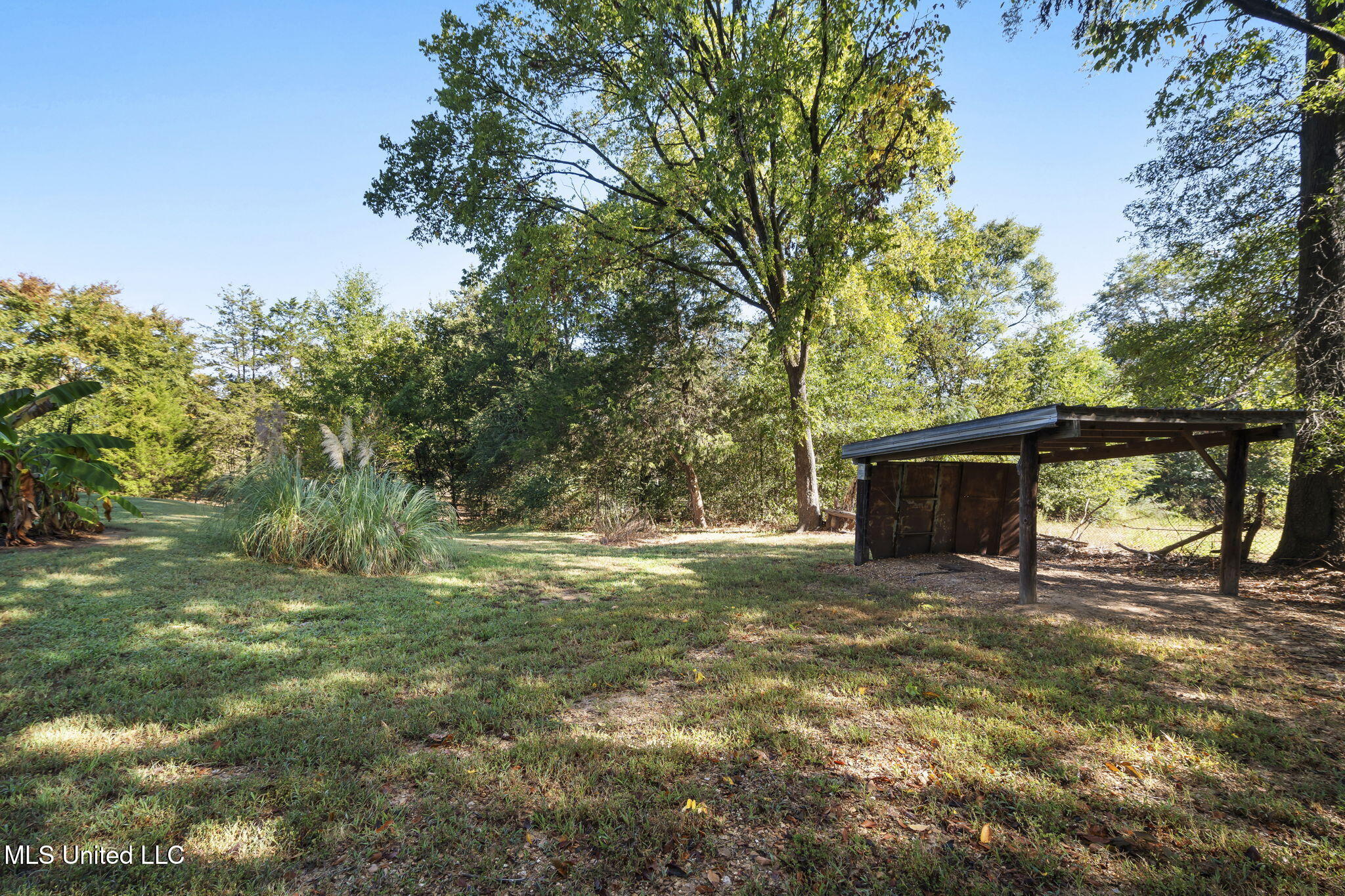 5916 Smith Road Coldwater, MS 38618 - Photo 39 of 47 Rear Yard