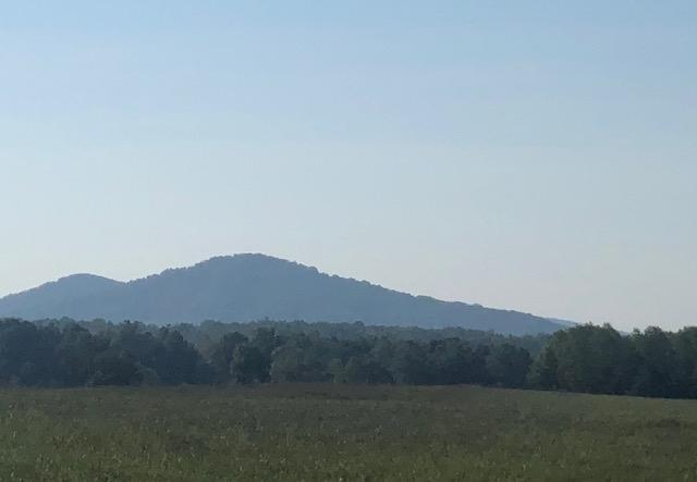 0 Rieley Ridge Drive Thaxton, VA 24174 - Photo 1 of 9 cover