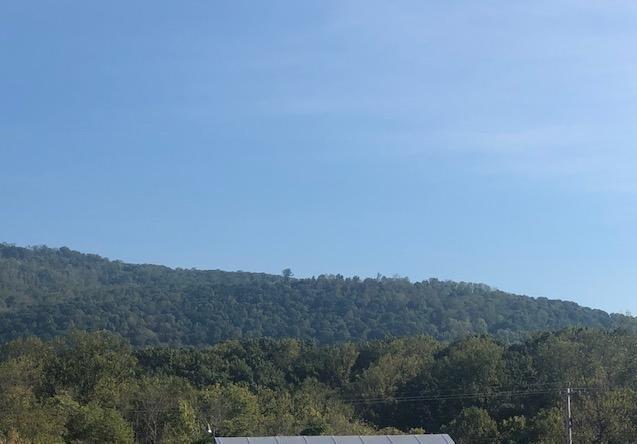 0 Rieley Ridge Drive Thaxton, VA 24174 - Photo 8 of 9 8