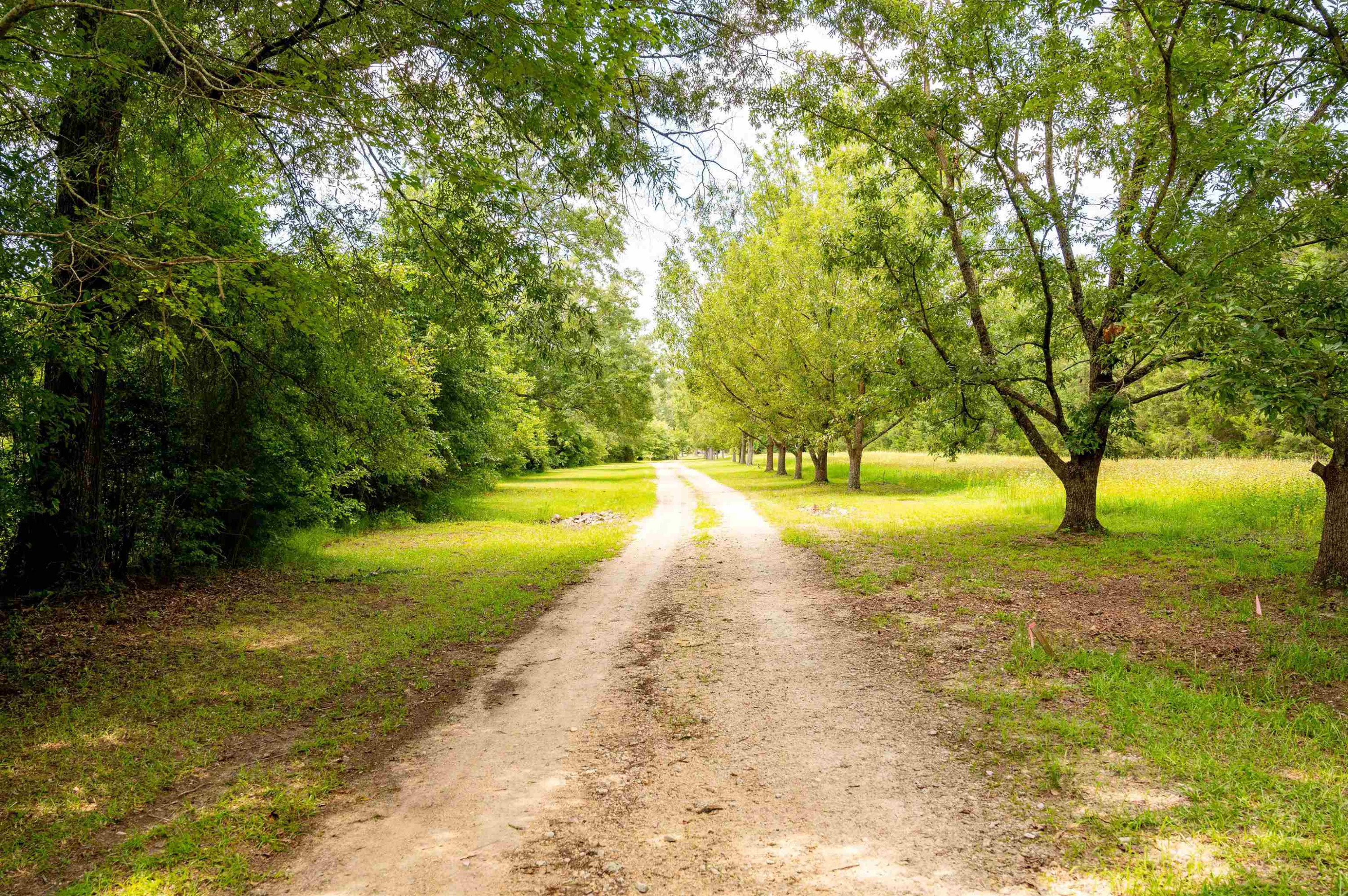 8437 James Atkinson Road Linden, NC 28356 - Photo 20 of 61 Photo 20