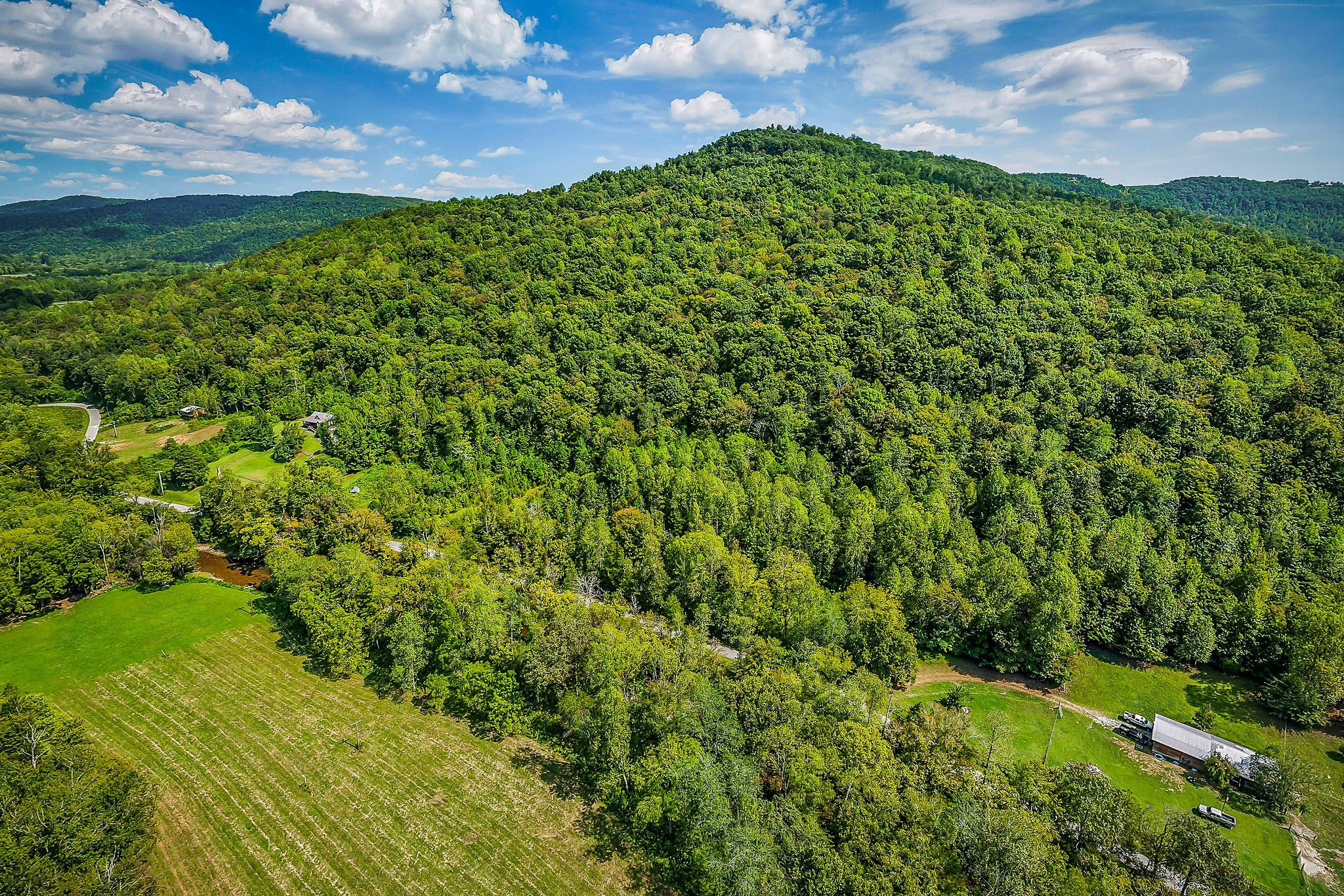 461 Shiloh Road Crawford, TN 38554 - Photo 5 of 15 a view of a big yard with plants and large trees