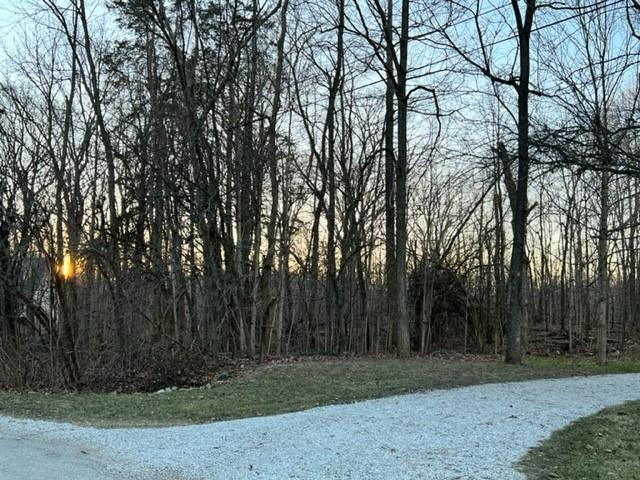 352 Mill Spring Court Fillmore, IN 46128 - Photo 5 of 16 Gallery Image 5