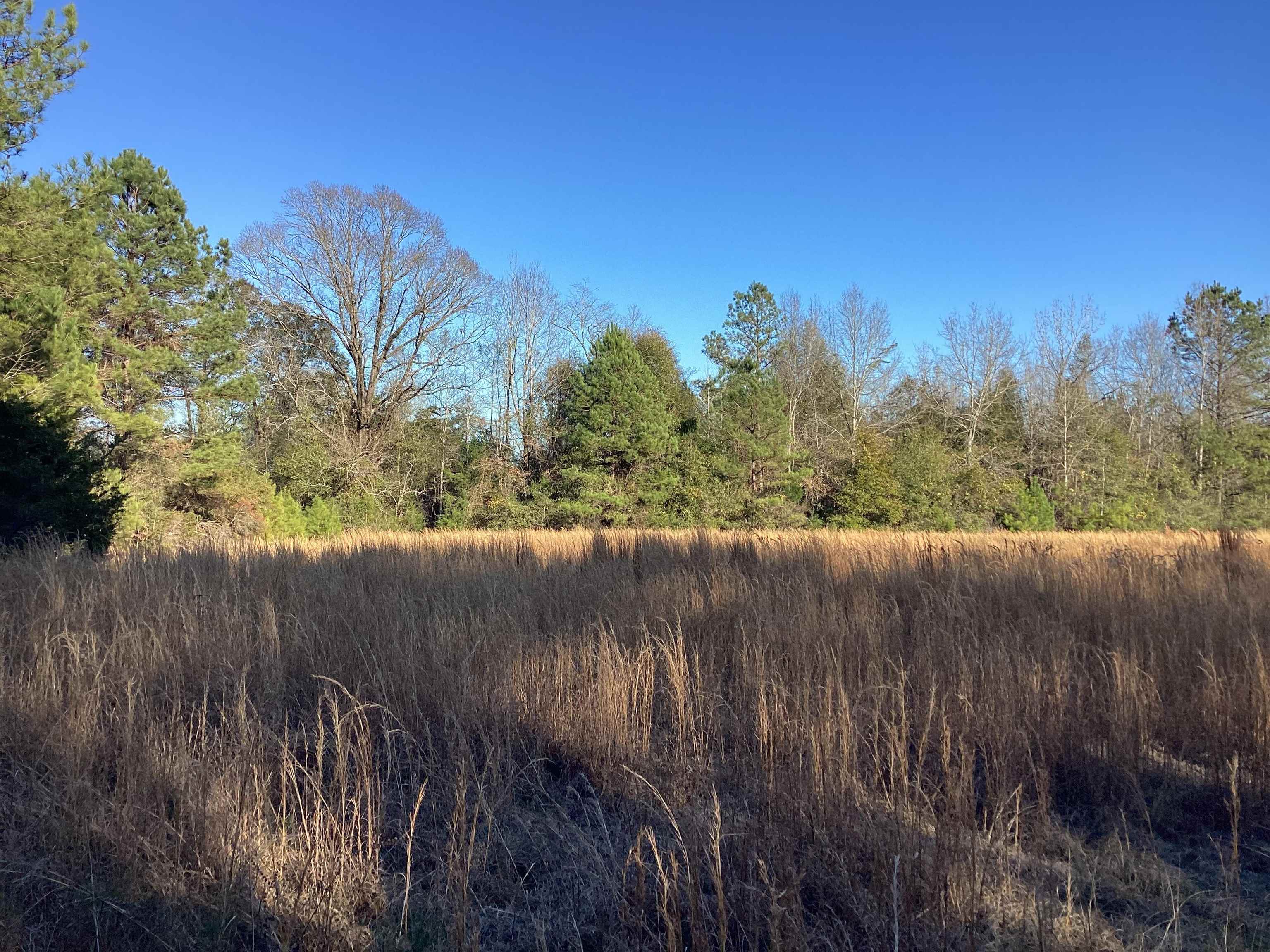 67 McIntyre Road Andalusia, AL 36420 - Photo 2 of 7 Gallery Image 2