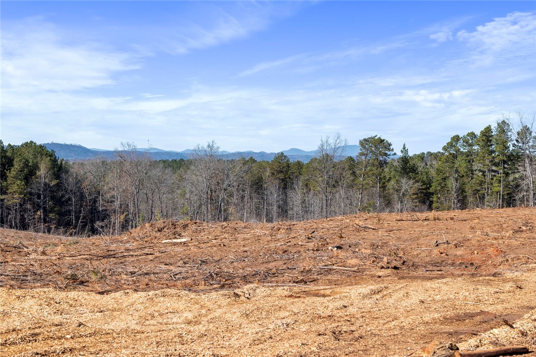 5.36-acres Poplar Springs Road Westminster, SC 29693 - Photo 7 of 10 Gallery Image 7