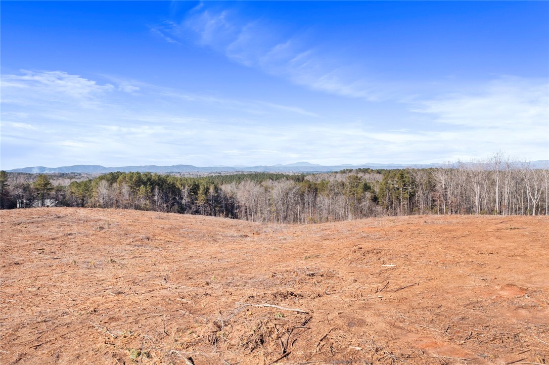 5.36-acres Poplar Springs Road Westminster, SC 29693 - Photo 8 of 10 Gallery Image 8
