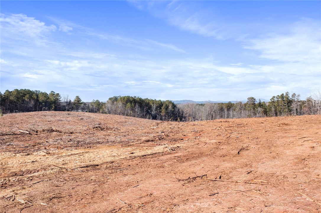 5.36-acres Poplar Springs Road Westminster, SC 29693 - Photo 10 of 10 Gallery Image 10