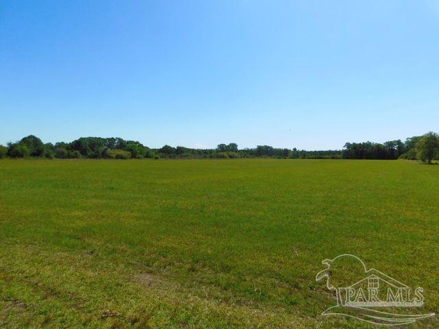 5884 A Sardine Road Brewton, AL 36426 - Photo 1 of 25