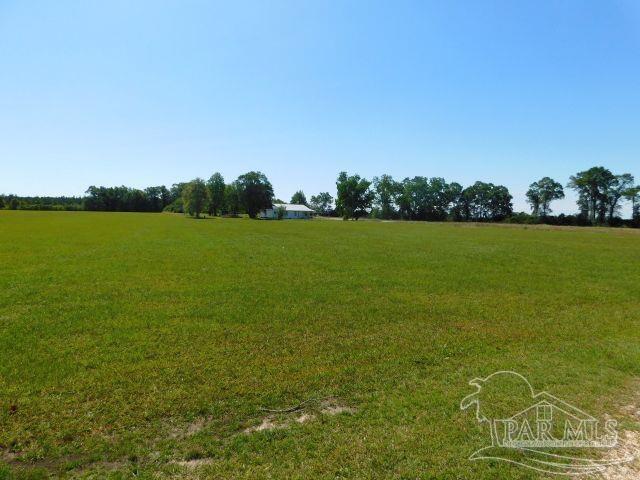5884 A Sardine Road Brewton, AL 36426 - Photo 2 of 25
