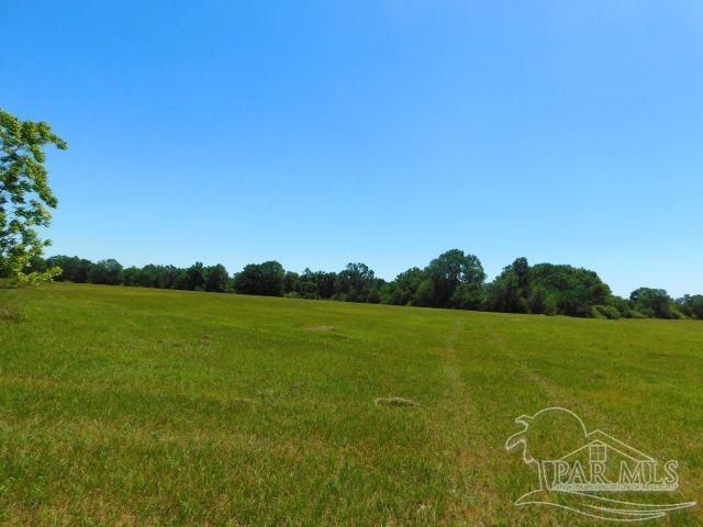 5884 A Sardine Road Brewton, AL 36426 - Photo 11 of 25