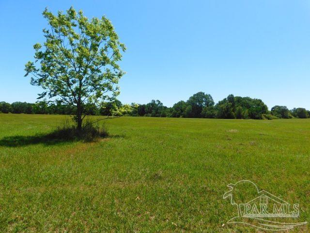 5884 A Sardine Road Brewton, AL 36426 - Photo 12 of 25