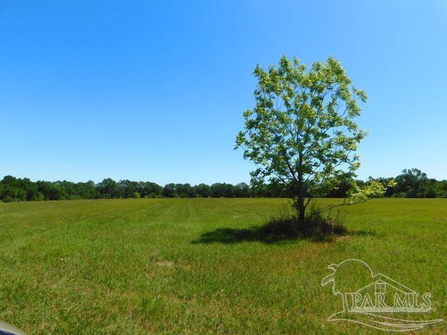5884 A Sardine Road Brewton, AL 36426 - Photo 13 of 25