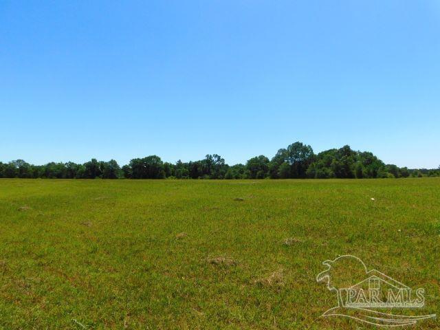 5884 A Sardine Road Brewton, AL 36426 - Photo 14 of 25
