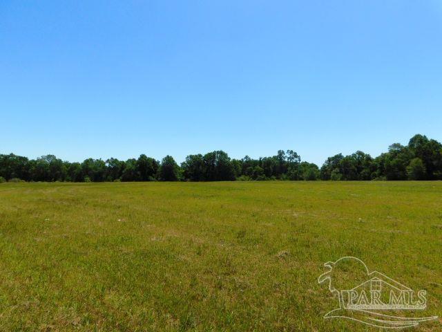 5884 A Sardine Road Brewton, AL 36426 - Photo 15 of 25