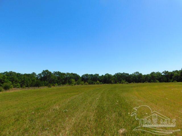 5884 A Sardine Road Brewton, AL 36426 - Photo 16 of 25