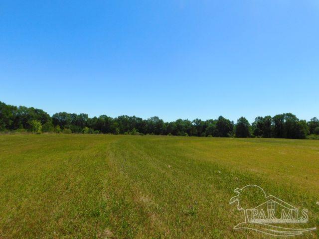 5884 A Sardine Road Brewton, AL 36426 - Photo 17 of 25