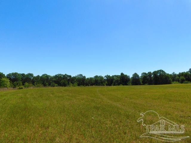 5884 A Sardine Road Brewton, AL 36426 - Photo 18 of 25