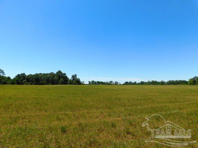 5884 A Sardine Road Brewton, AL 36426 - Photo 19 of 25