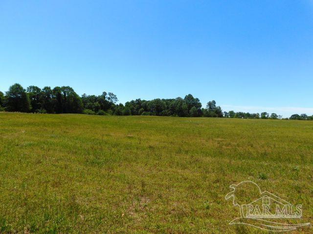 5884 A Sardine Road Brewton, AL 36426 - Photo 20 of 25